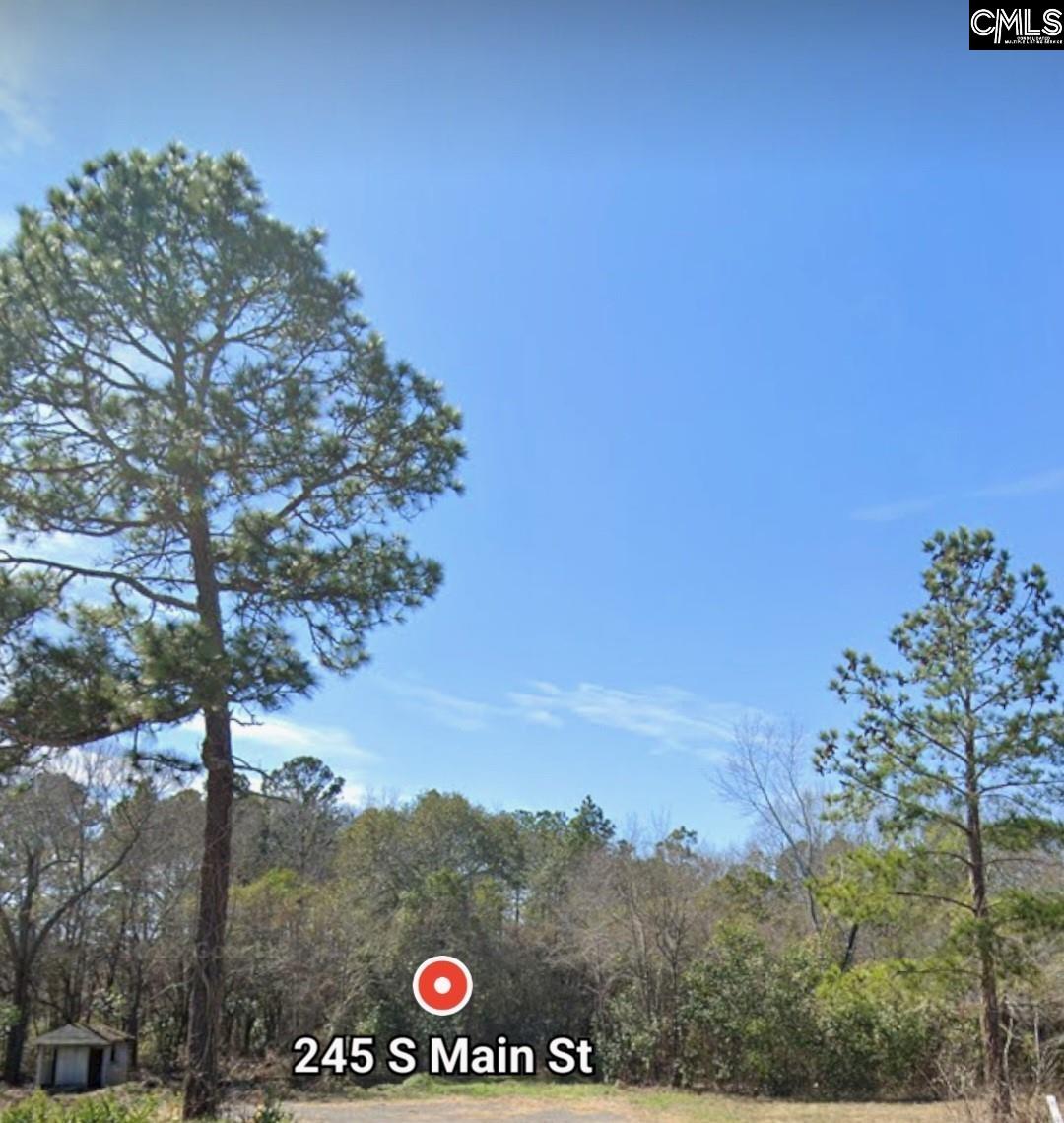 245 South Main Street Gaston, SC 29053 - Photo 2 of 2