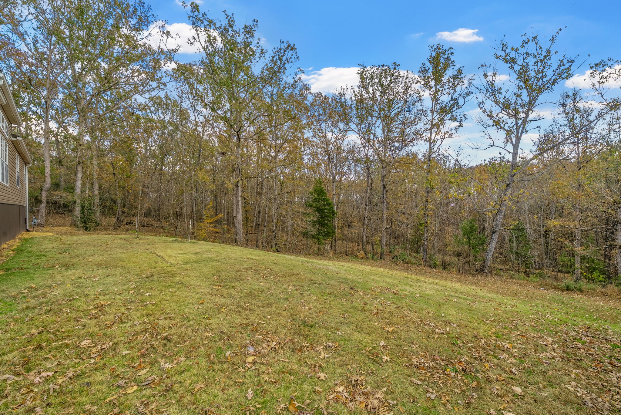 197 Old Homestead Road Big Sandy, TN 38221 - Photo 33 of 59 a view of a yard with trees