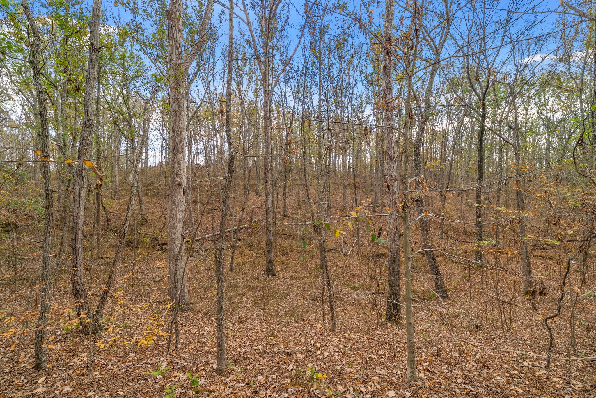 197 Old Homestead Road Big Sandy, TN 38221 - Photo 38 of 59