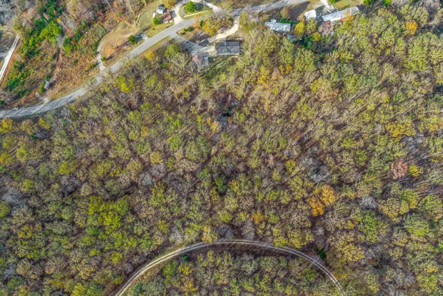 a backyard of a house with lots of trees