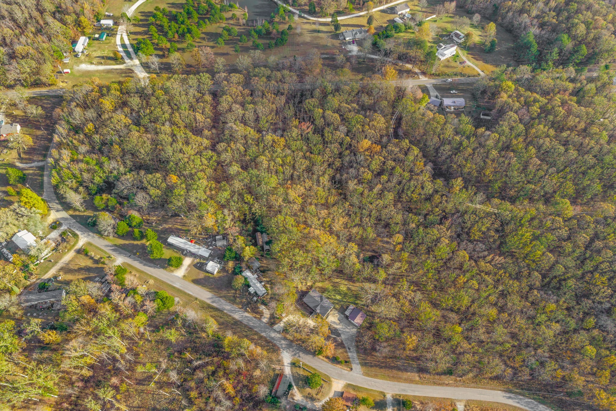 197 Old Homestead Road Big Sandy, TN 38221 - Photo 50 of 59 a view of a yard with a tree