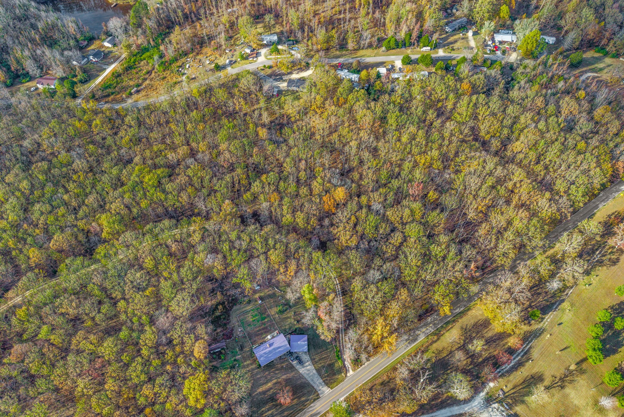 197 Old Homestead Road Big Sandy, TN 38221 - Photo 53 of 59 a view of a tree