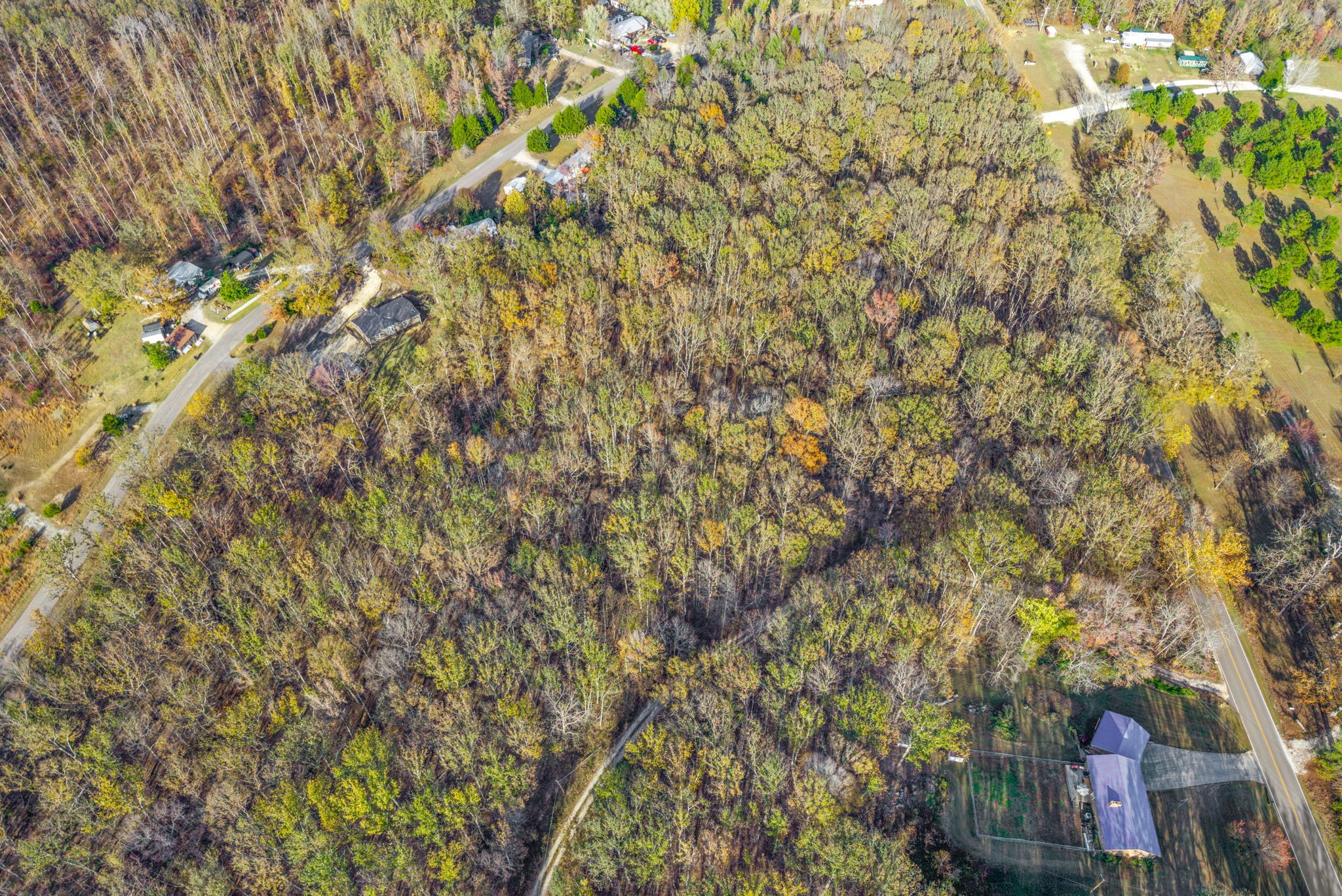 197 Old Homestead Road Big Sandy, TN 38221 - Photo 55 of 59 a backyard of a house with lots of trees