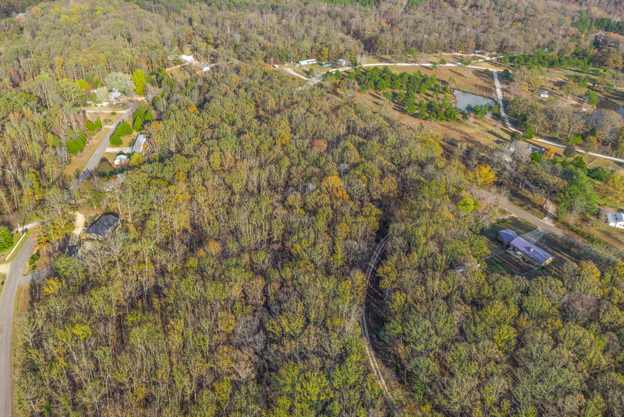 197 Old Homestead Road Big Sandy, TN 38221 - Photo 56 of 59