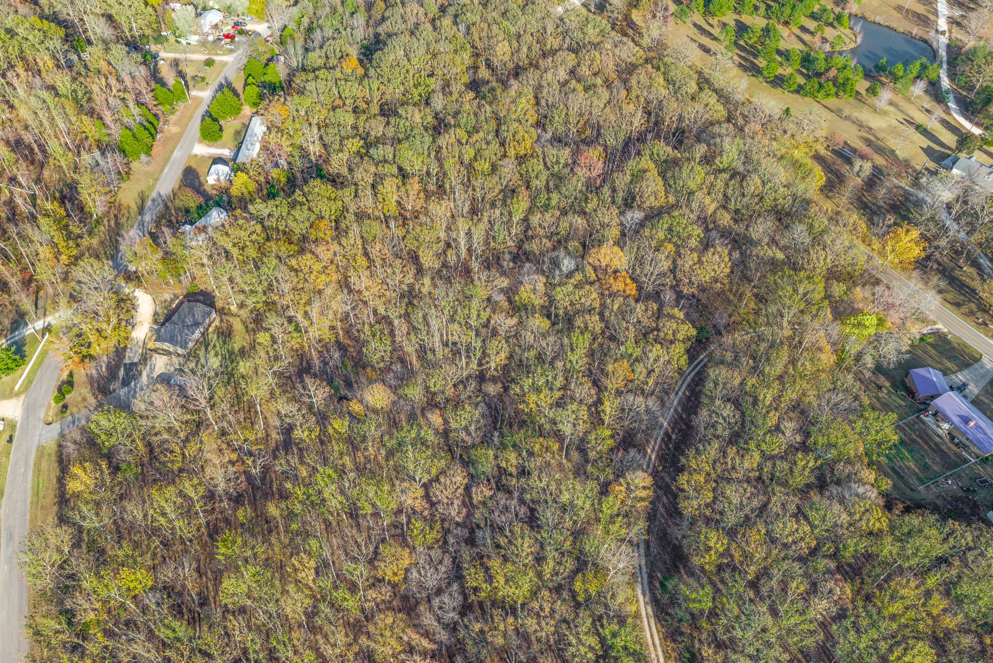 197 Old Homestead Road Big Sandy, TN 38221 - Photo 57 of 59 a view of a tree