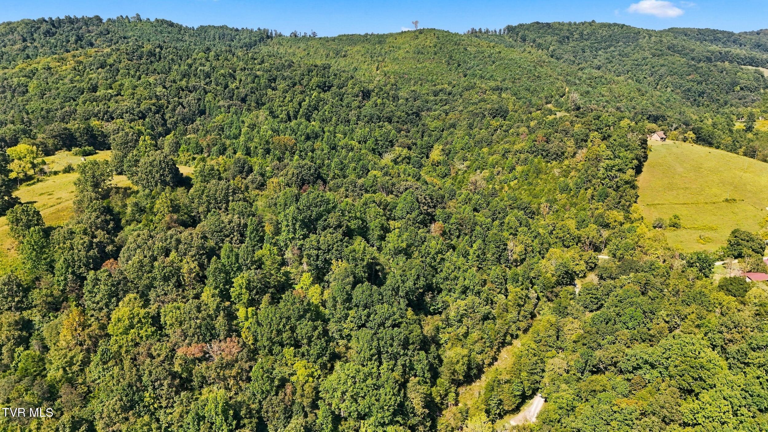 2918 Copper Creek Road Duffield, VA 24244 - Photo 5 of 31 dji_20260915151736_0797_d