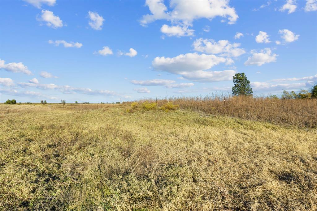 Tbd Krause Road Holland, TX 76534 - Photo 21 of 26