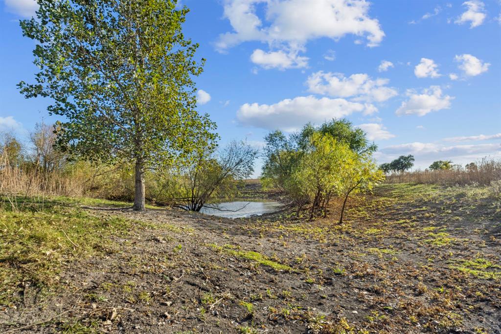 Tbd Krause Road Holland, TX 76534 - Photo 8 of 26 a view of a yard with an trees