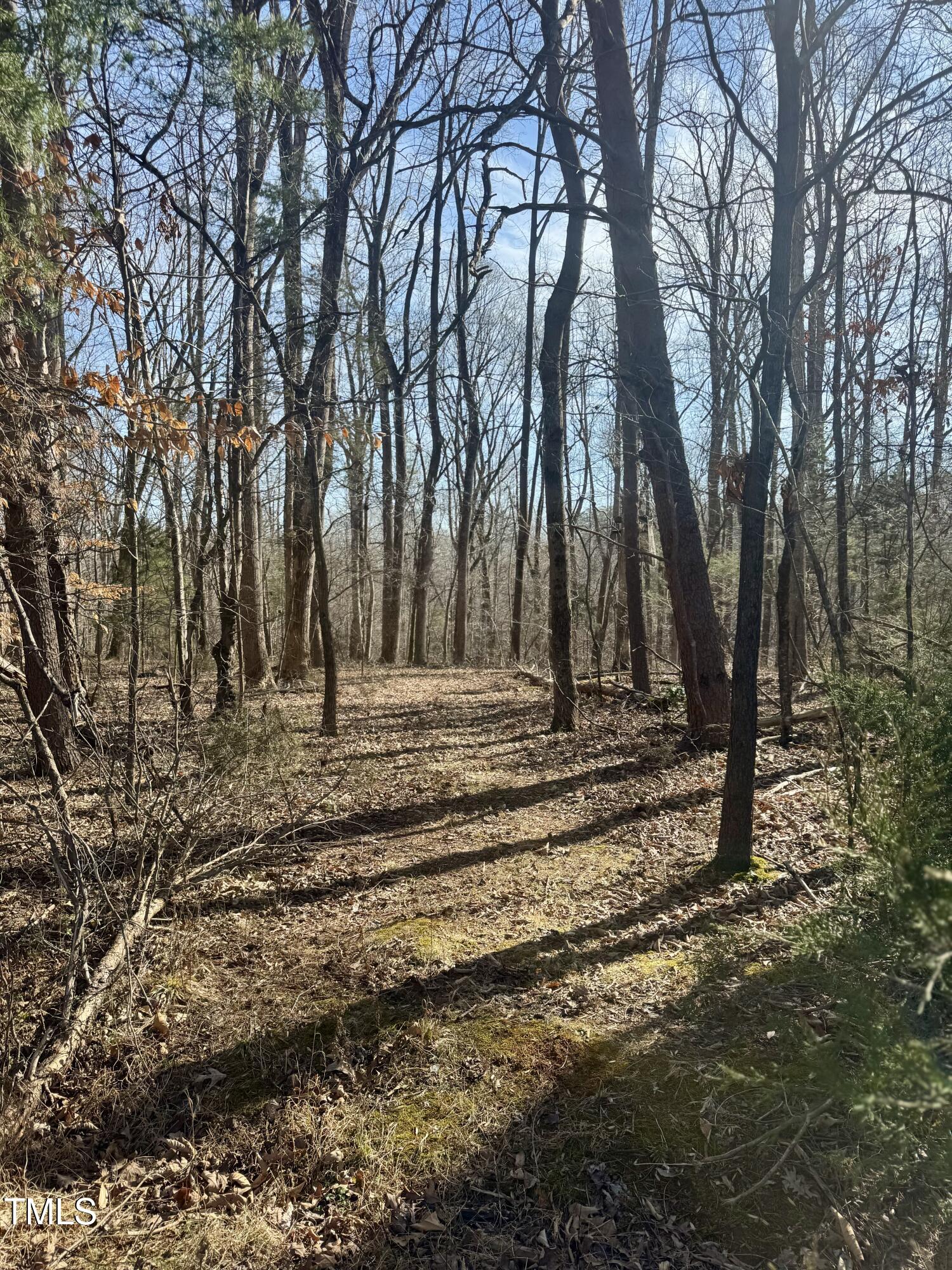 7250 Shoe Road Burlington, NC 27215 - Photo 12 of 18 trail