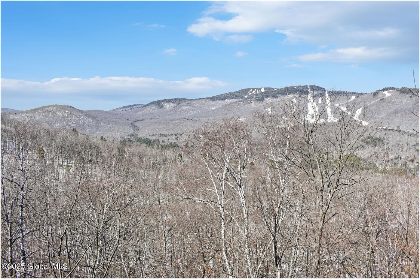 L48.4 Durkin Road North Creek, NY 12853 - Photo 11 of 74 d47