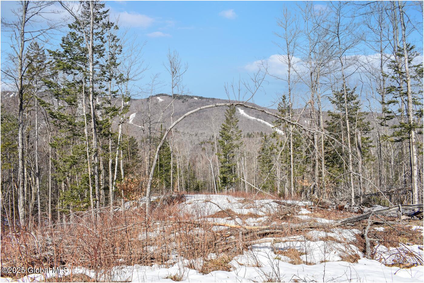 L48.4 Durkin Road North Creek, NY 12853 - Photo 12 of 74 d38