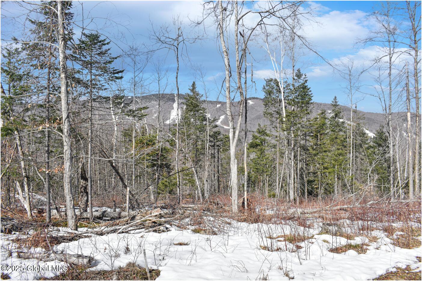 L48.4 Durkin Road North Creek, NY 12853 - Photo 13 of 74 d45