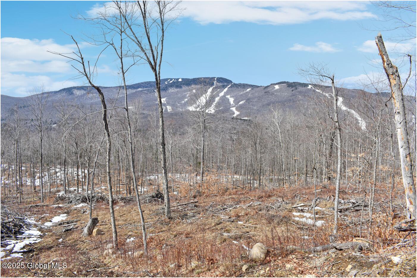 L48.4 Durkin Road North Creek, NY 12853 - Photo 14 of 74 d36