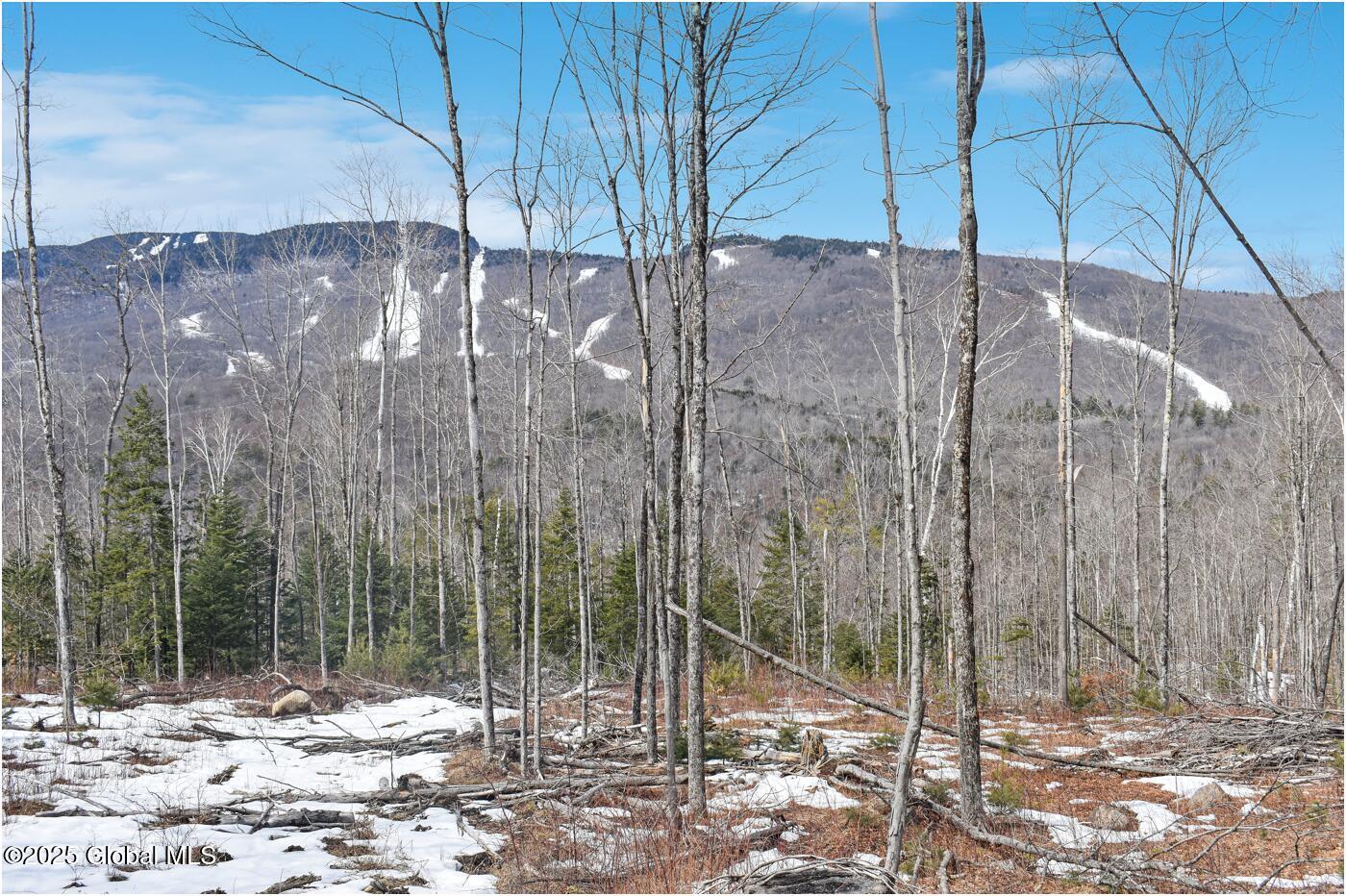 L48.4 Durkin Road North Creek, NY 12853 - Photo 17 of 74 d56