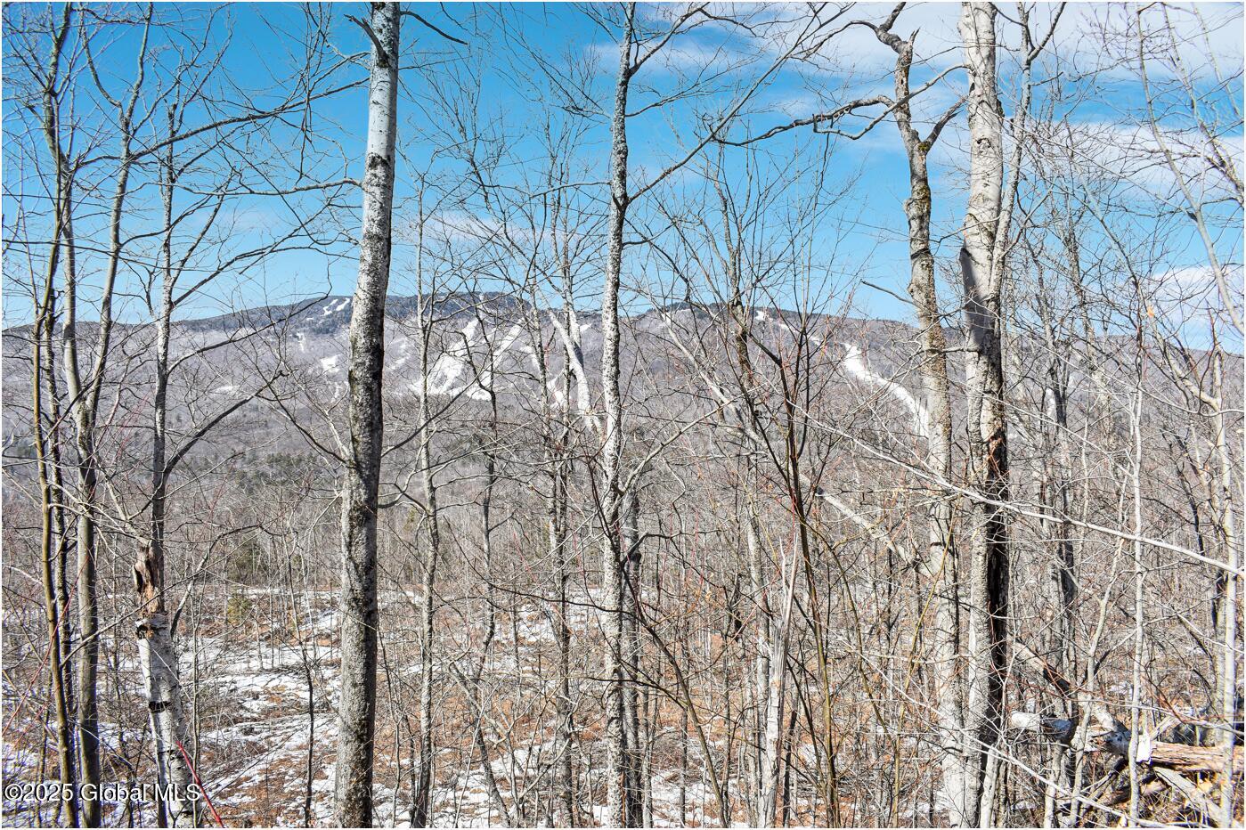 L48.4 Durkin Road North Creek, NY 12853 - Photo 18 of 74 d10