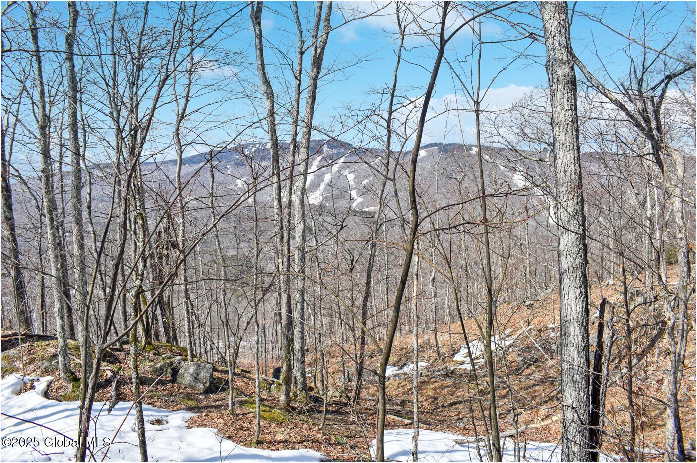 L48.4 Durkin Road North Creek, NY 12853 - Photo 19 of 74 d21