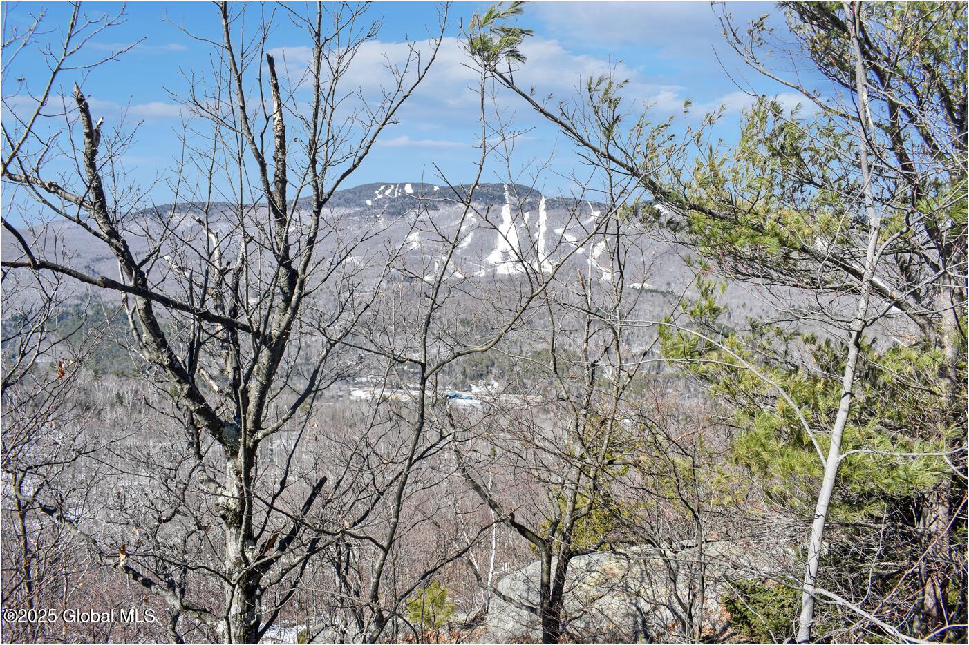 L48.4 Durkin Road North Creek, NY 12853 - Photo 2 of 74 d26