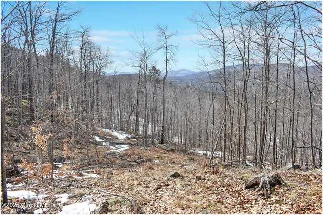 $389,000 | L48.4 Durkin Road, North Creek, NY 12853