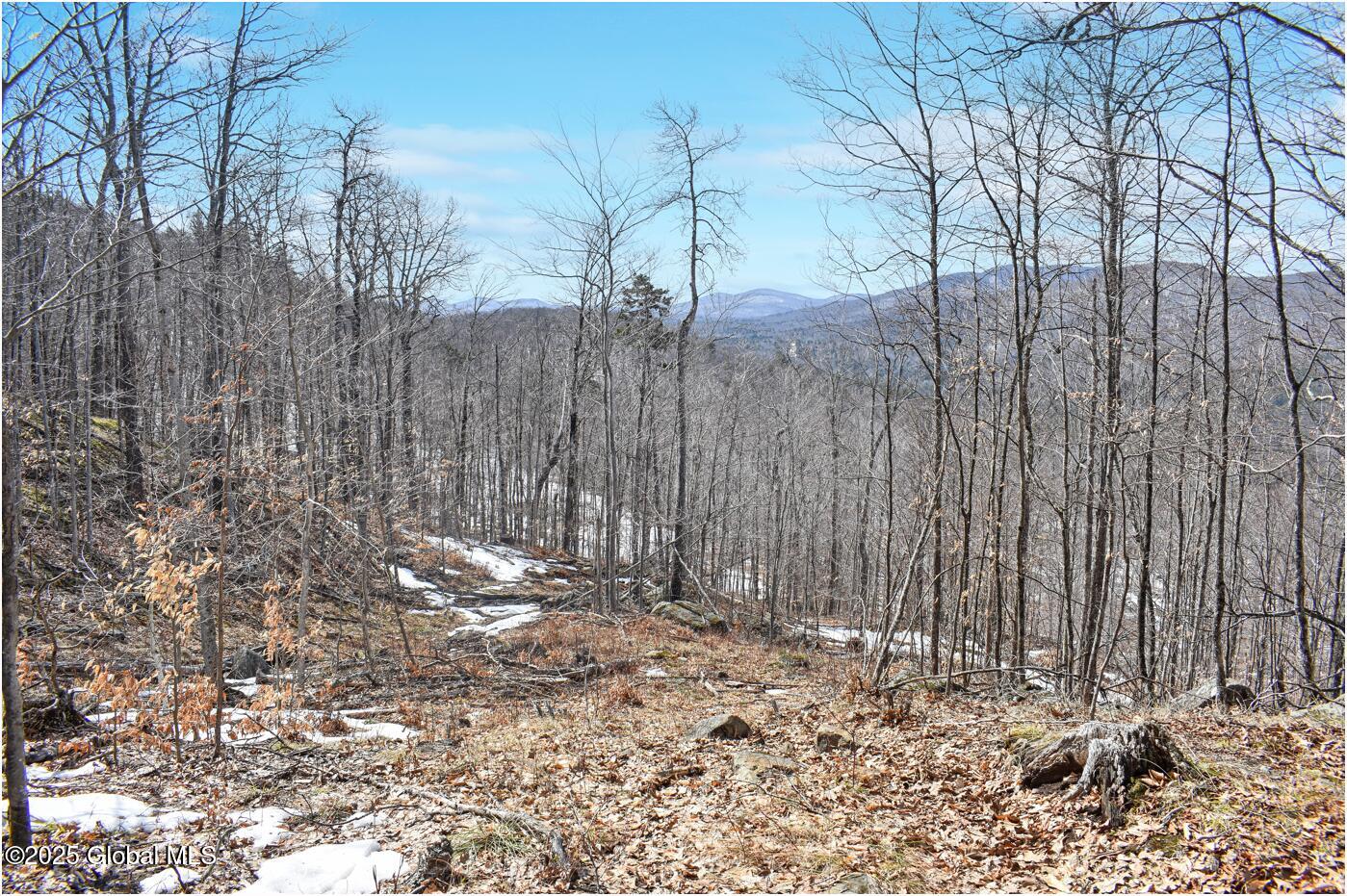 L48.4 Durkin Road North Creek, NY 12853 - Photo 21 of 74 d9