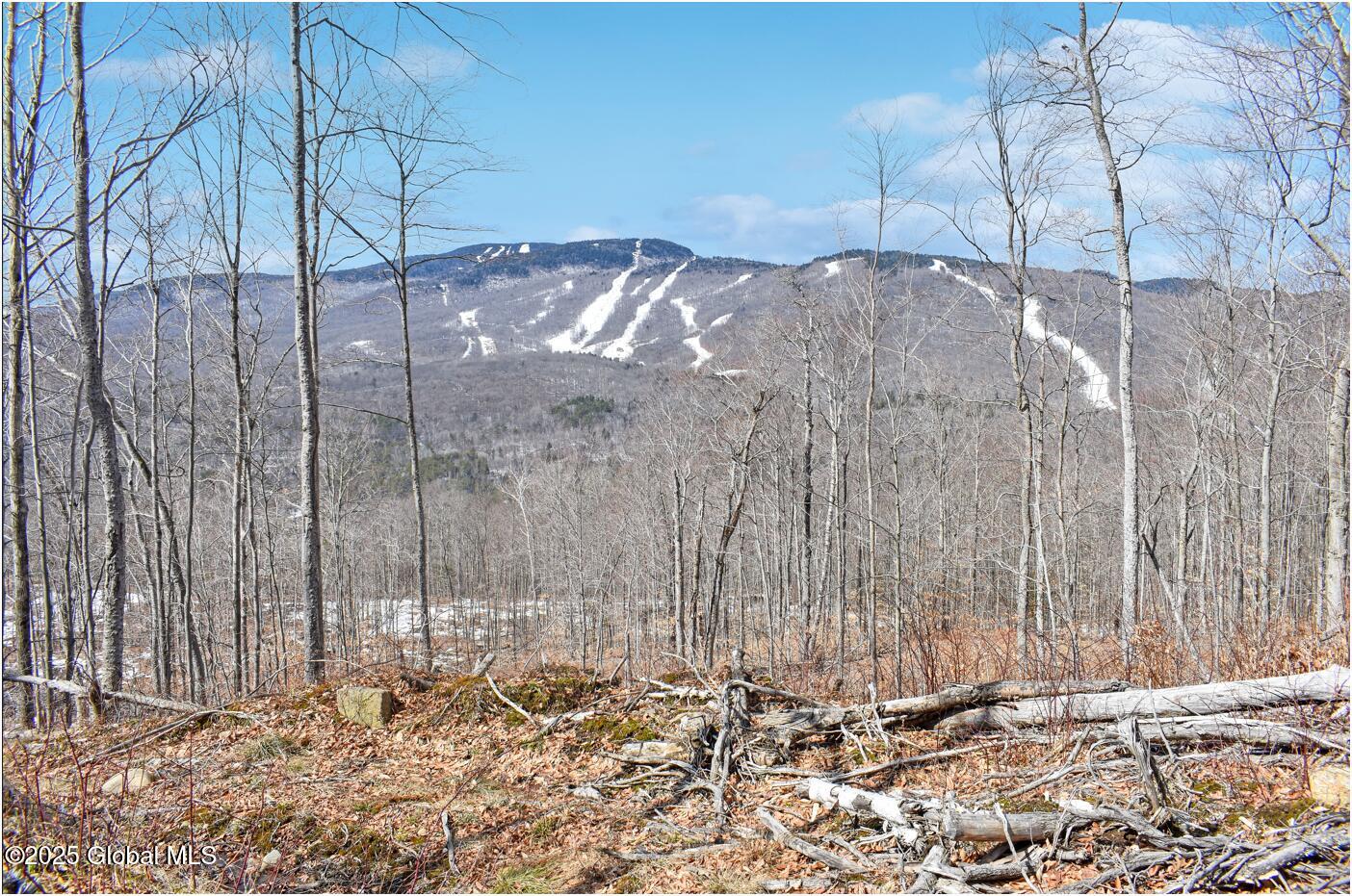 L48.4 Durkin Road North Creek, NY 12853 - Photo 22 of 74 d18