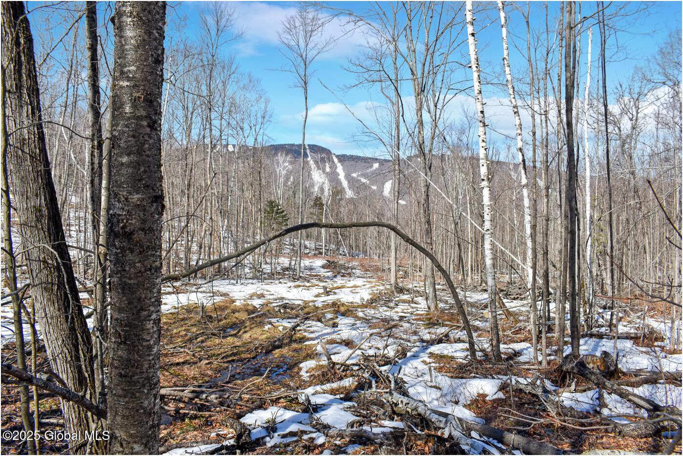 L48.4 Durkin Road North Creek, NY 12853 - Photo 23 of 74 d61