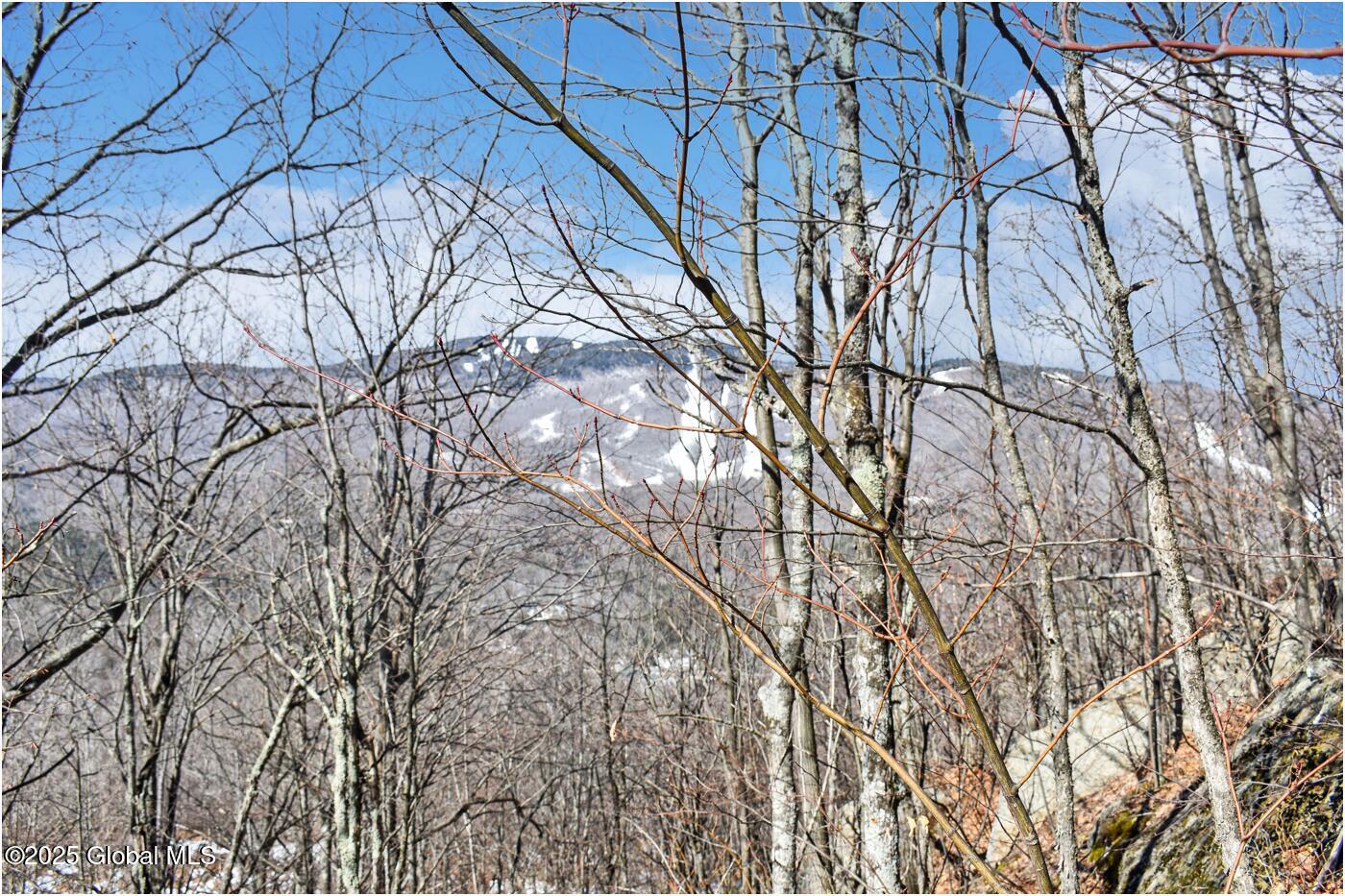 L48.4 Durkin Road North Creek, NY 12853 - Photo 24 of 74 d65