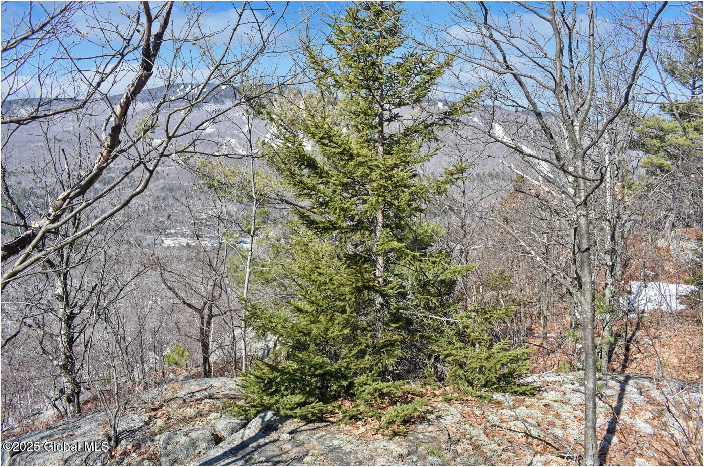 L48.4 Durkin Road North Creek, NY 12853 - Photo 26 of 74 d8