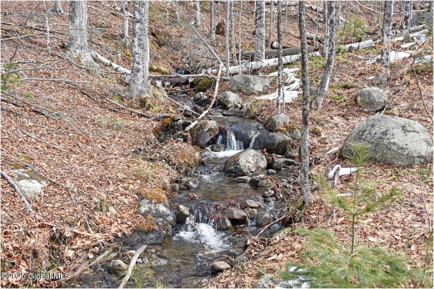 L48.4 Durkin Road North Creek, NY 12853 - Photo 27 of 74 d22