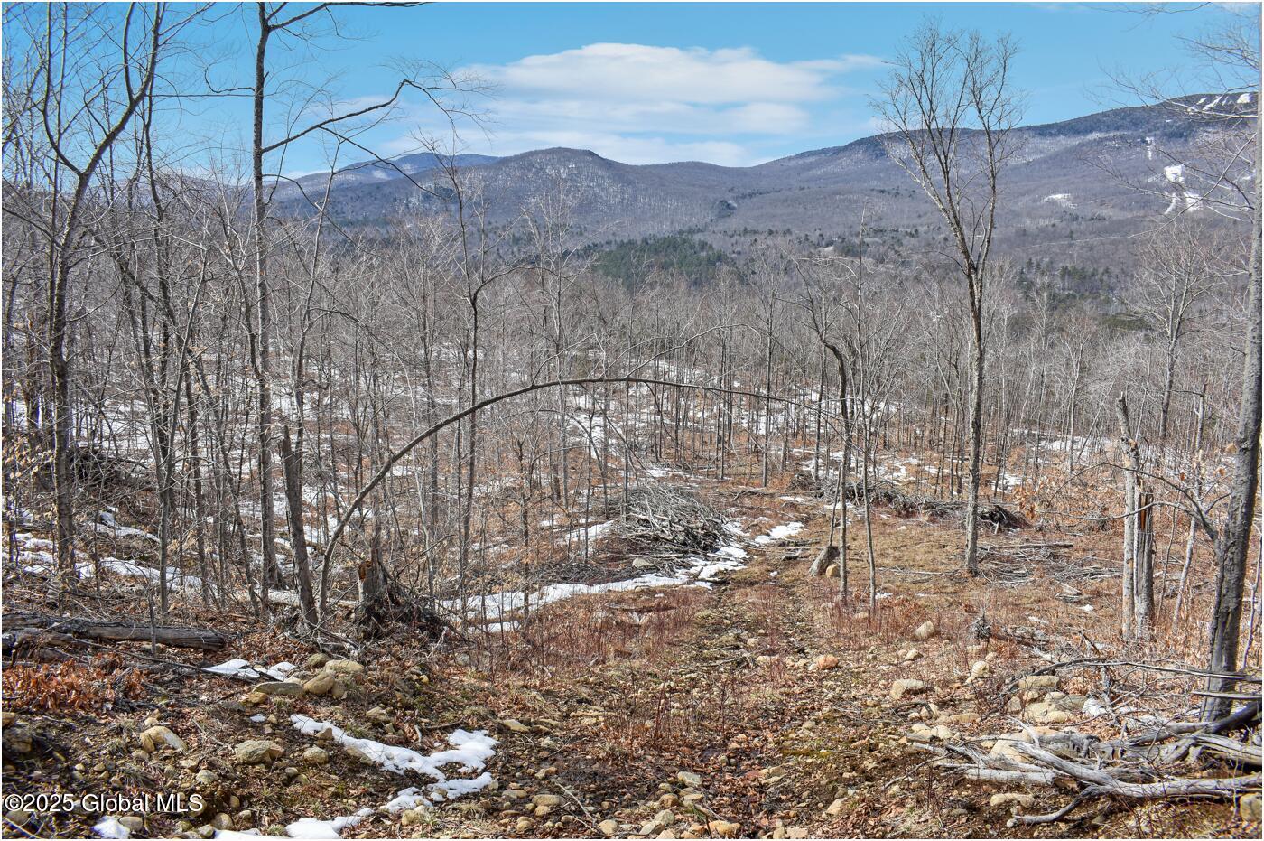 L48.4 Durkin Road North Creek, NY 12853 - Photo 29 of 74 d17