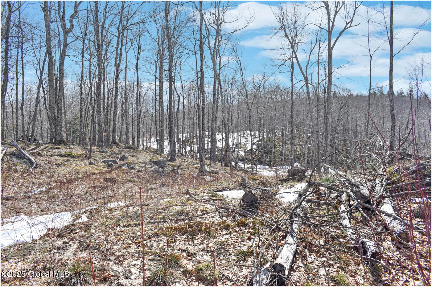 L48.4 Durkin Road North Creek, NY 12853 - Photo 30 of 74 d19