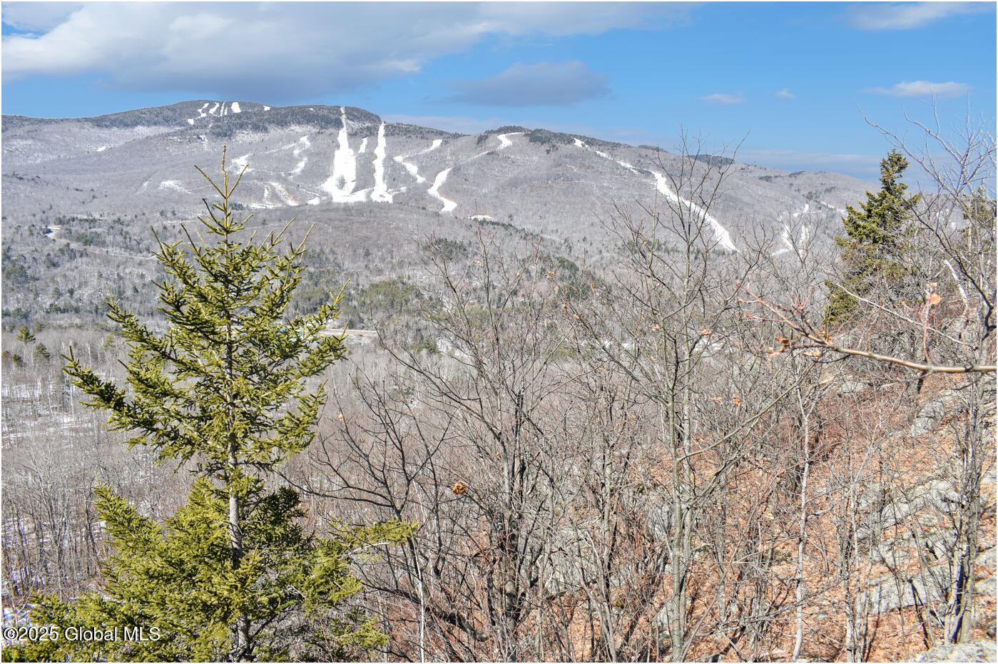 L48.4 Durkin Road North Creek, NY 12853 - Photo 3 of 74 d37