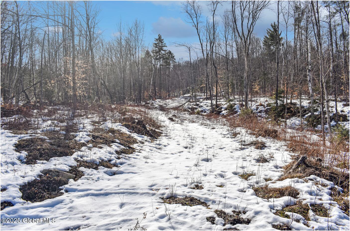 L48.4 Durkin Road North Creek, NY 12853 - Photo 31 of 74 d46
