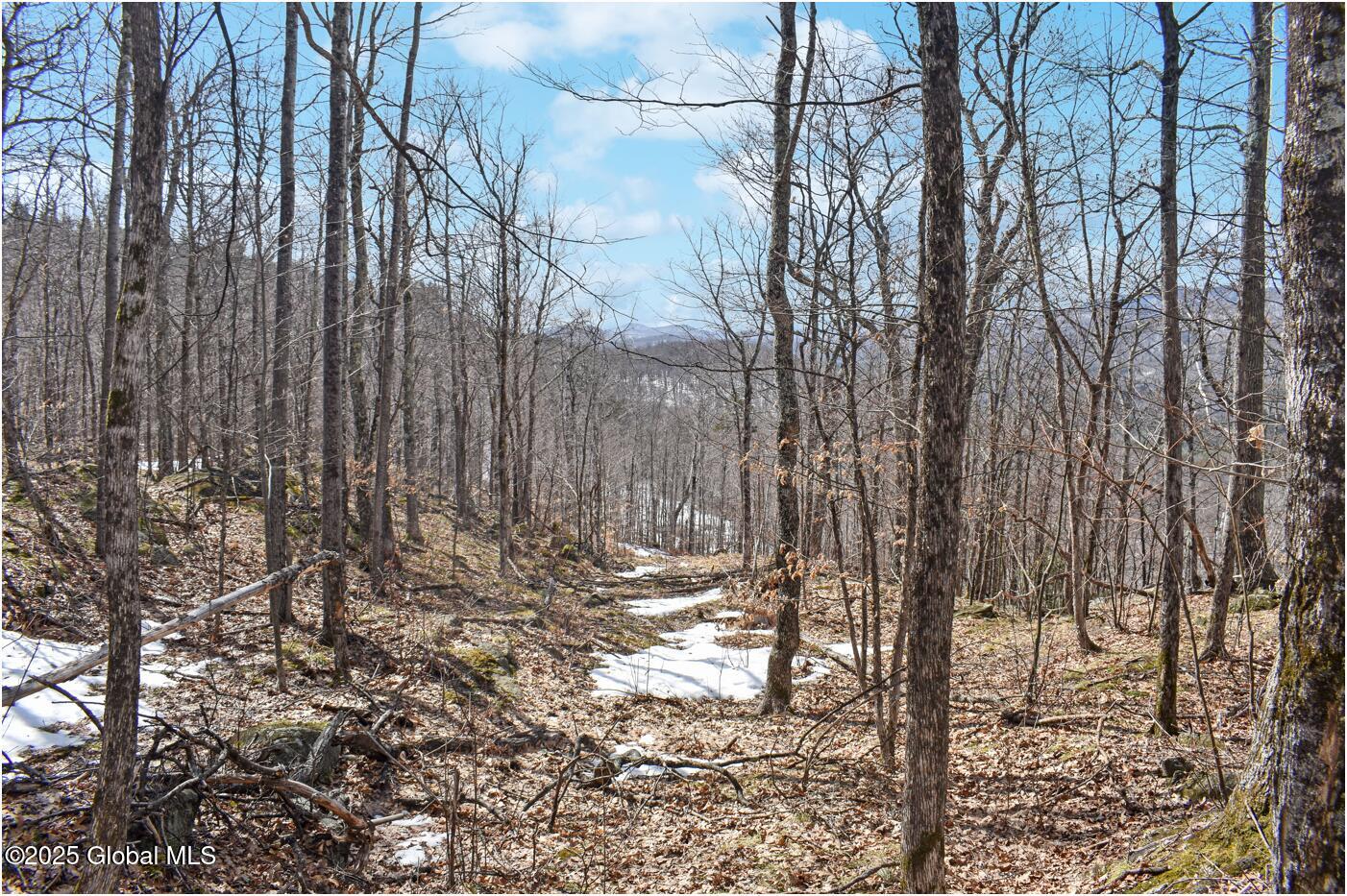 L48.4 Durkin Road North Creek, NY 12853 - Photo 32 of 74 d41