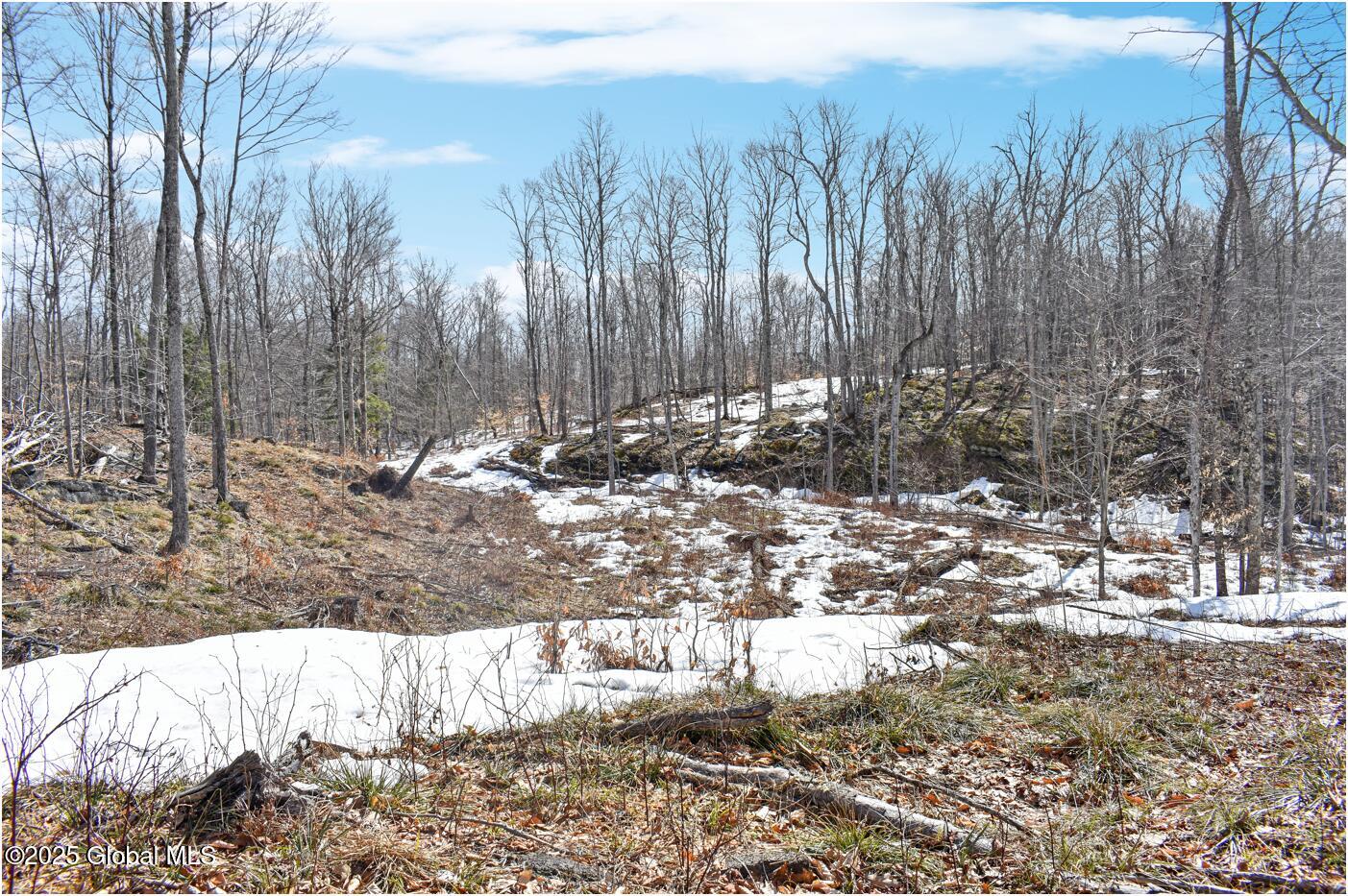 L48.4 Durkin Road North Creek, NY 12853 - Photo 34 of 74 d25