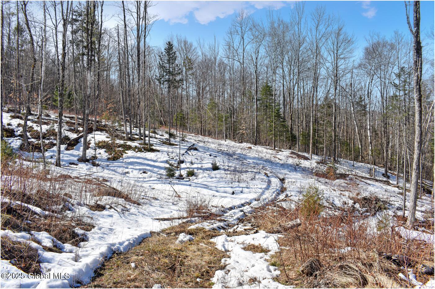 L48.4 Durkin Road North Creek, NY 12853 - Photo 35 of 74 d11