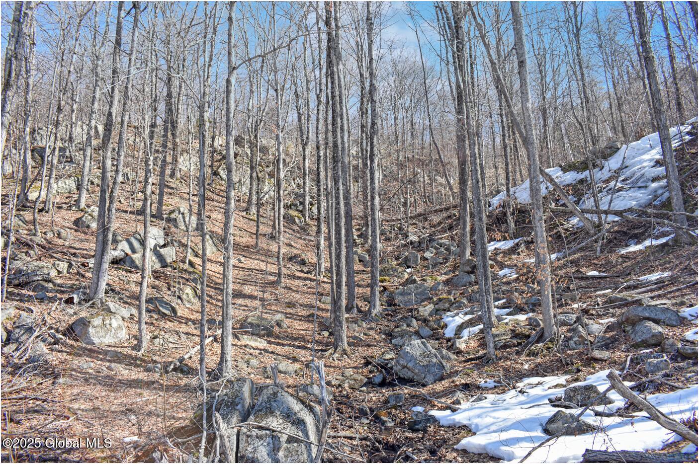 L48.4 Durkin Road North Creek, NY 12853 - Photo 36 of 74 d44