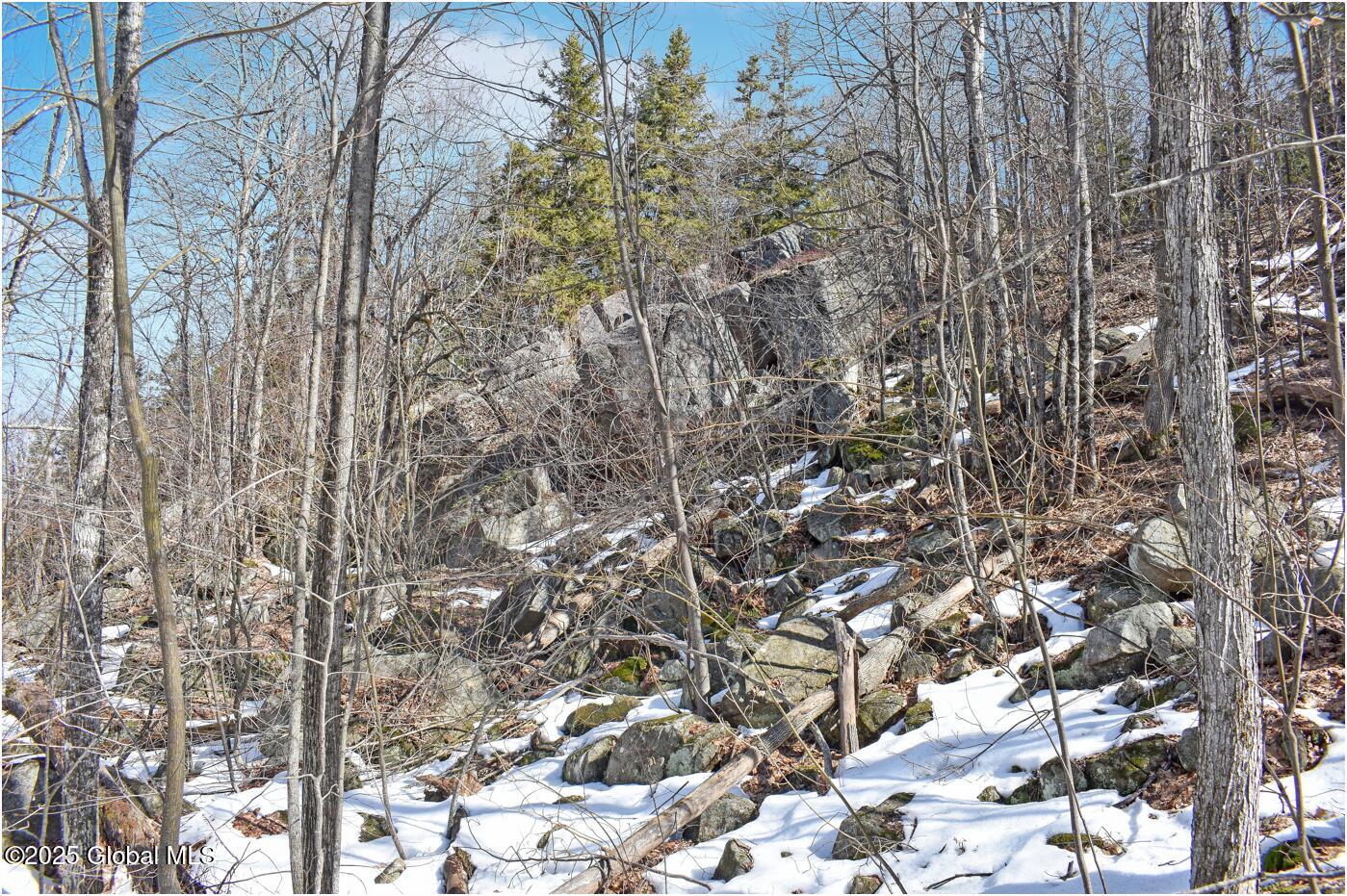 L48.4 Durkin Road North Creek, NY 12853 - Photo 39 of 74 d3