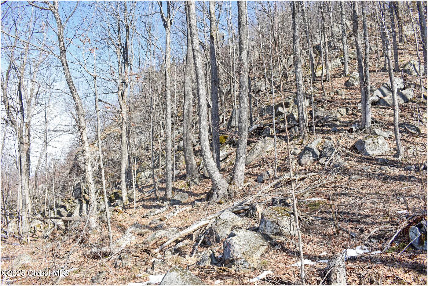 L48.4 Durkin Road North Creek, NY 12853 - Photo 41 of 74 D1