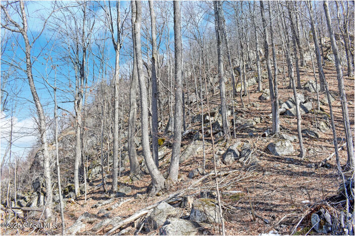 L48.4 Durkin Road North Creek, NY 12853 - Photo 42 of 74 d7