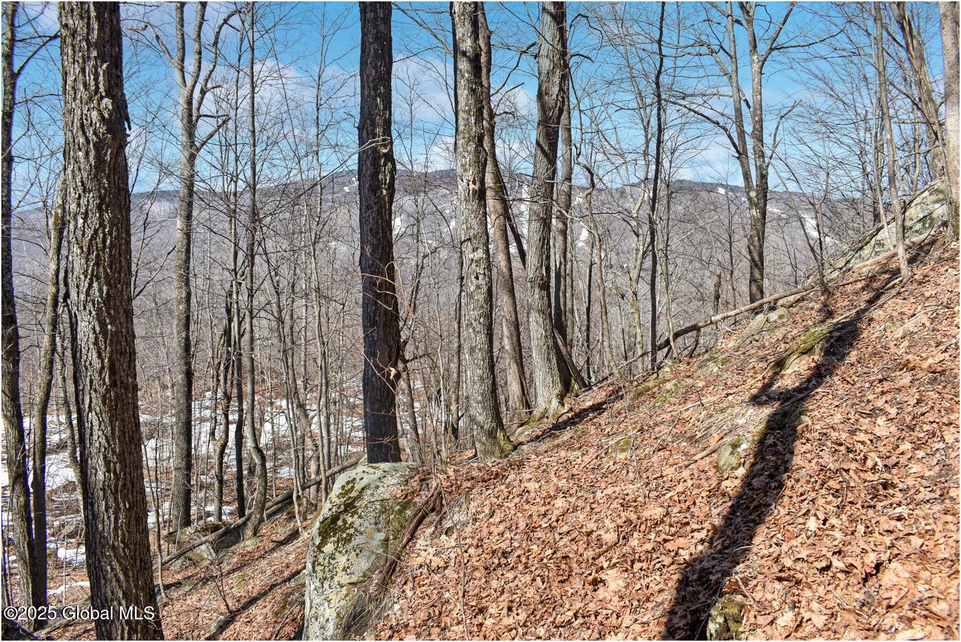 L48.4 Durkin Road North Creek, NY 12853 - Photo 43 of 74 d13