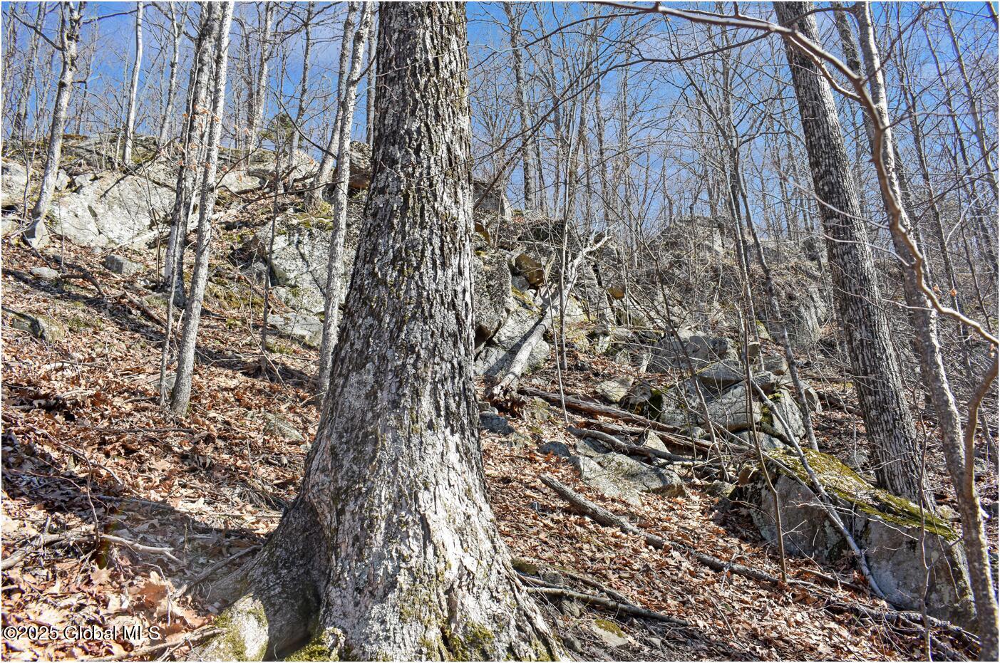 L48.4 Durkin Road North Creek, NY 12853 - Photo 44 of 74 d12