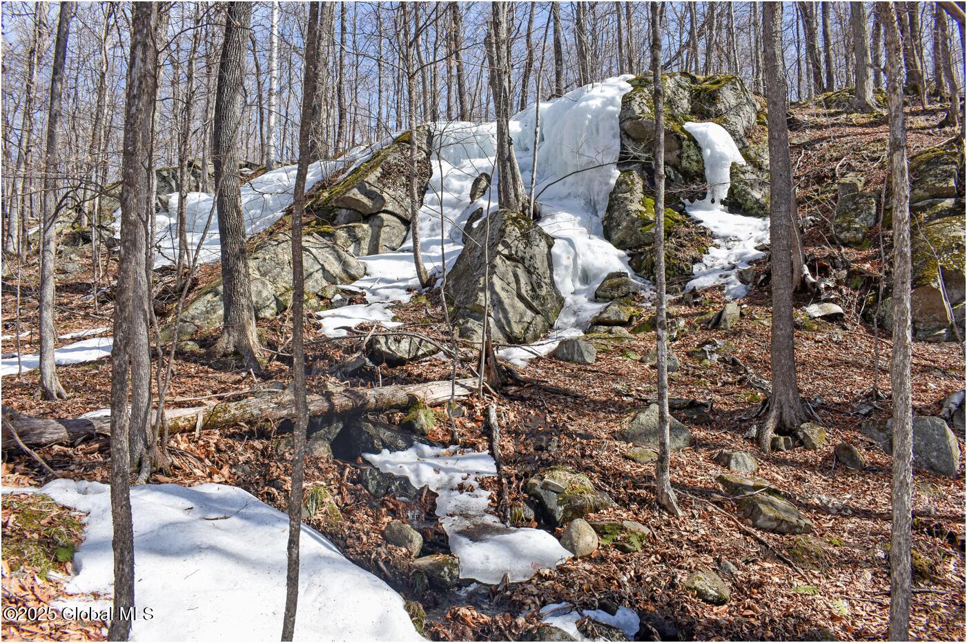 L48.4 Durkin Road North Creek, NY 12853 - Photo 45 of 74 d24