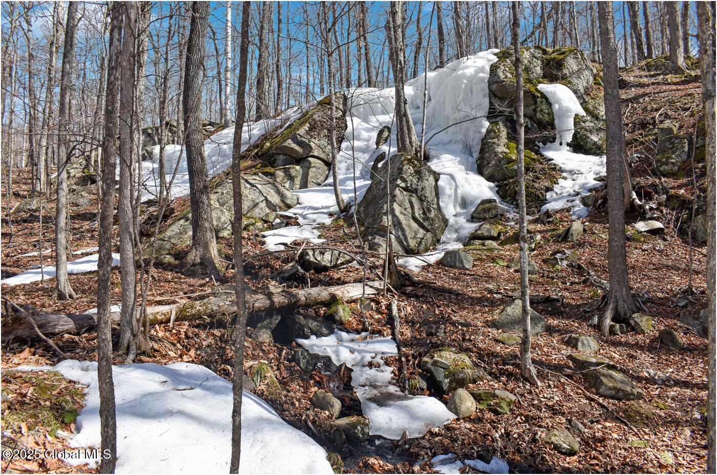 L48.4 Durkin Road North Creek, NY 12853 - Photo 46 of 74 d33