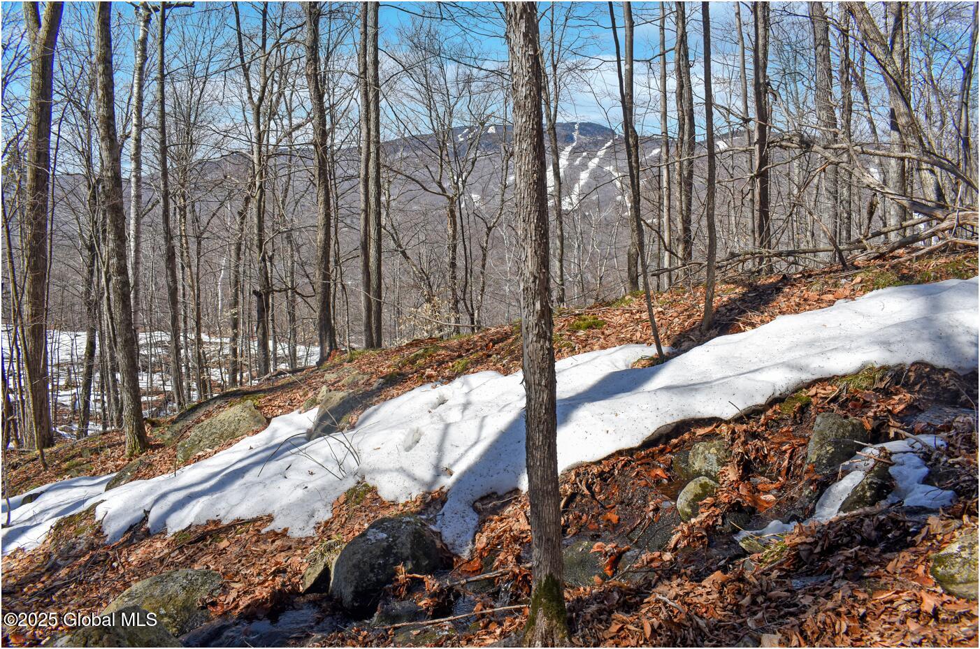 L48.4 Durkin Road North Creek, NY 12853 - Photo 47 of 74 d29