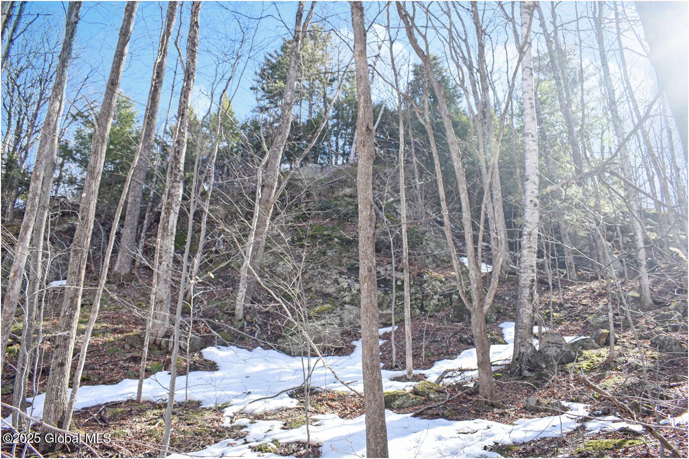 L48.4 Durkin Road North Creek, NY 12853 - Photo 49 of 74 d64