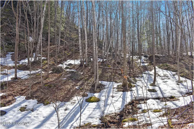 $389,000 | L48.4 Durkin Road, North Creek, NY 12853