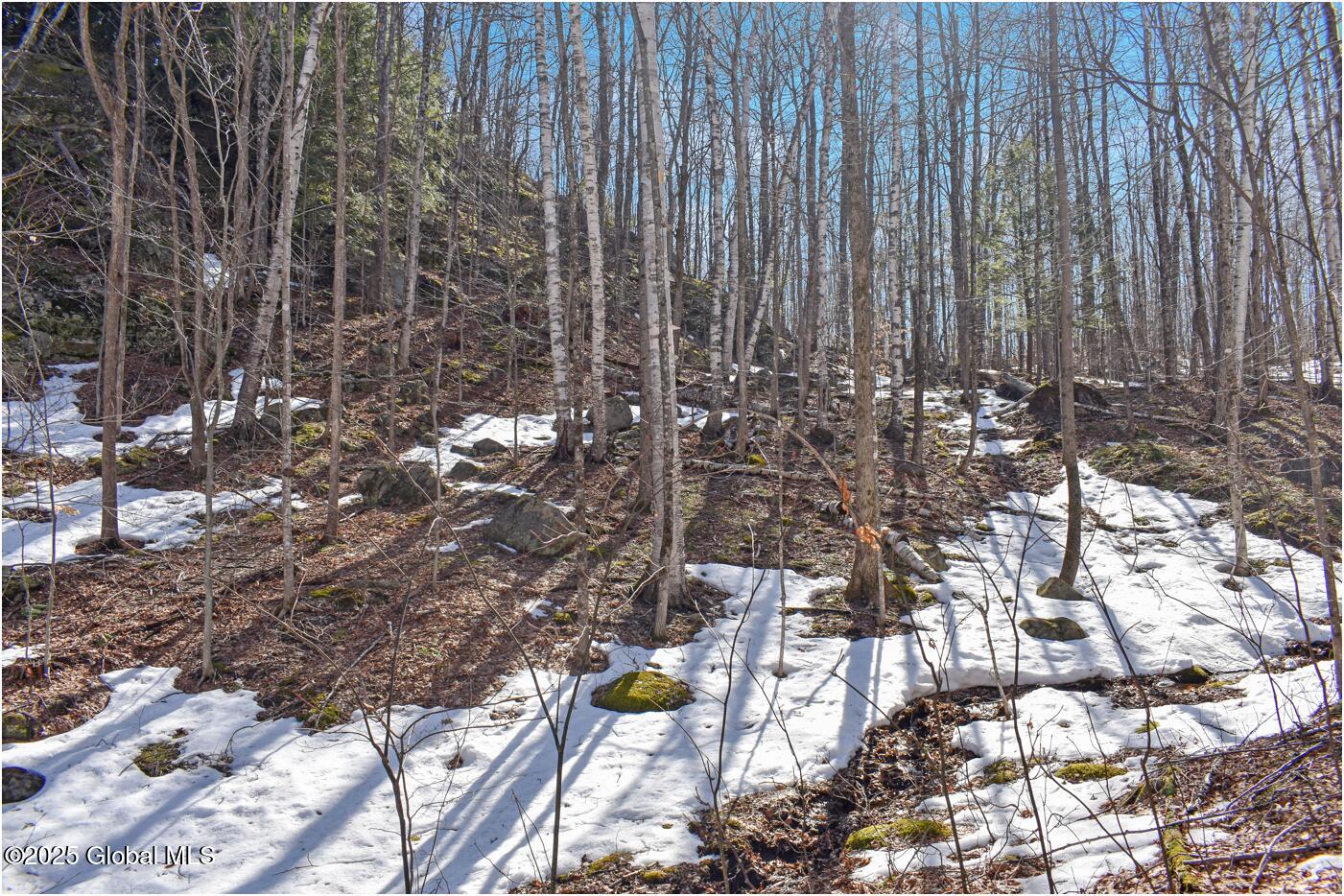 L48.4 Durkin Road North Creek, NY 12853 - Photo 50 of 74 d39