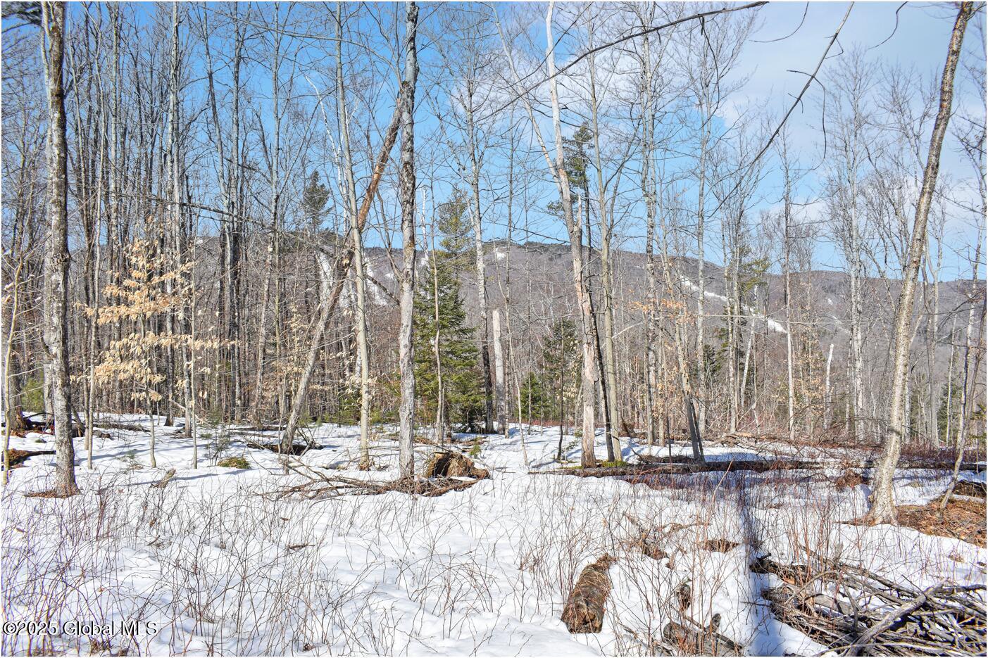 L48.4 Durkin Road North Creek, NY 12853 - Photo 52 of 74 d15