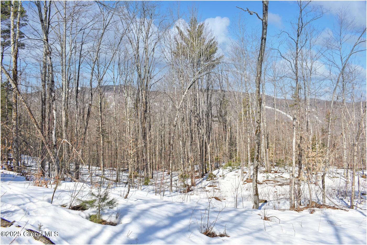 L48.4 Durkin Road North Creek, NY 12853 - Photo 53 of 74 d32