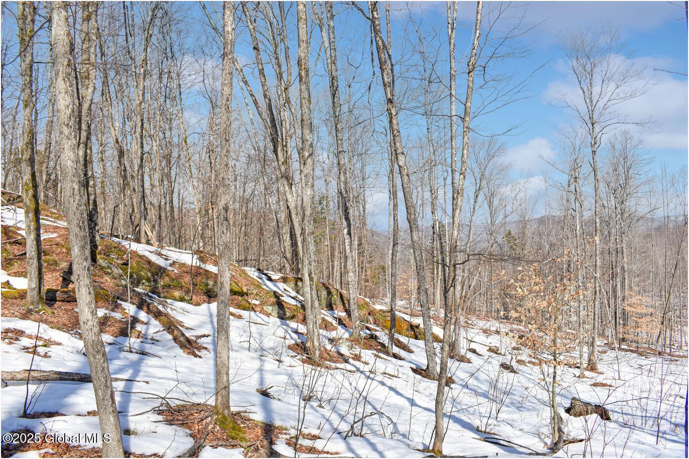 L48.4 Durkin Road North Creek, NY 12853 - Photo 55 of 74 d35